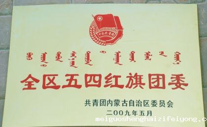 全区五四红旗团委